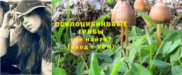 мет Заволжск