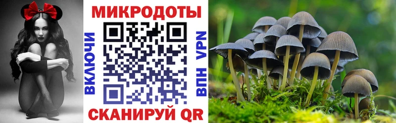Галлюциногенные грибы Psilocybe  Купить где  Заволжск 